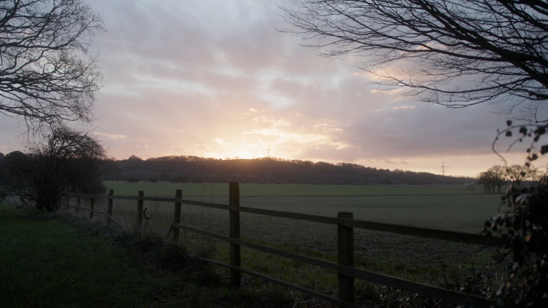 Episode 1 — The Question