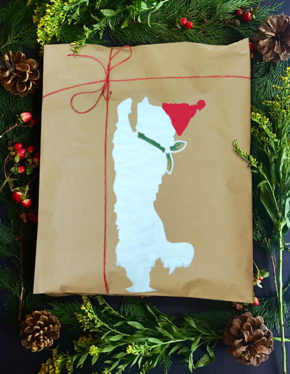 Gift Wrap - Special Package