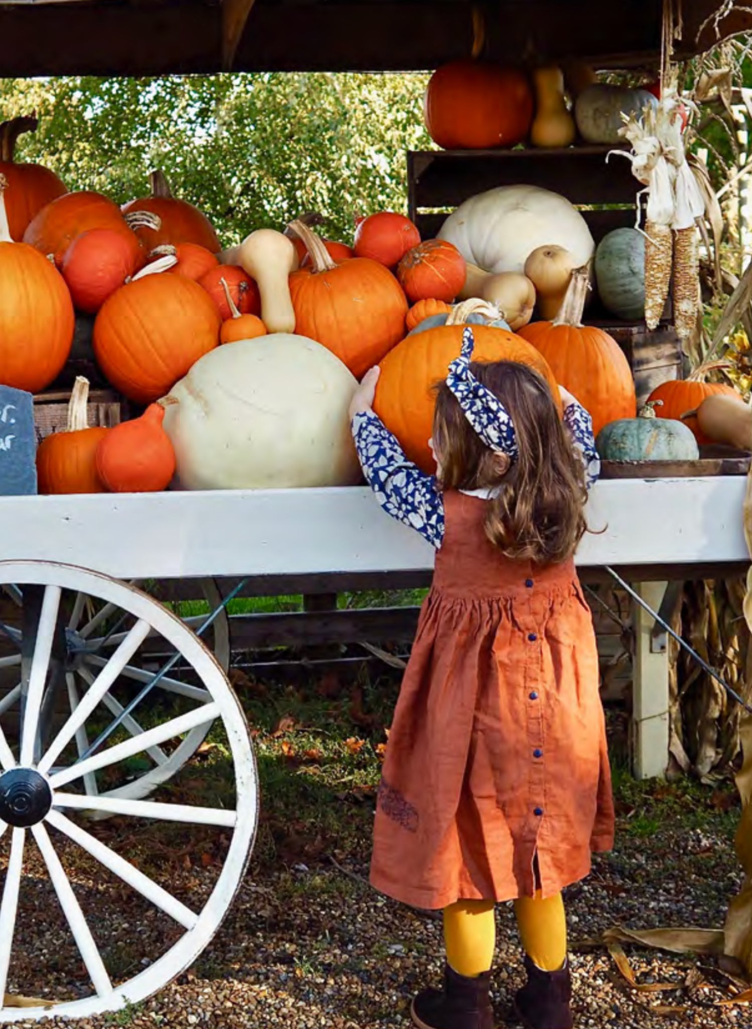 Children's Hairbands - Autumn Prints 3-6y