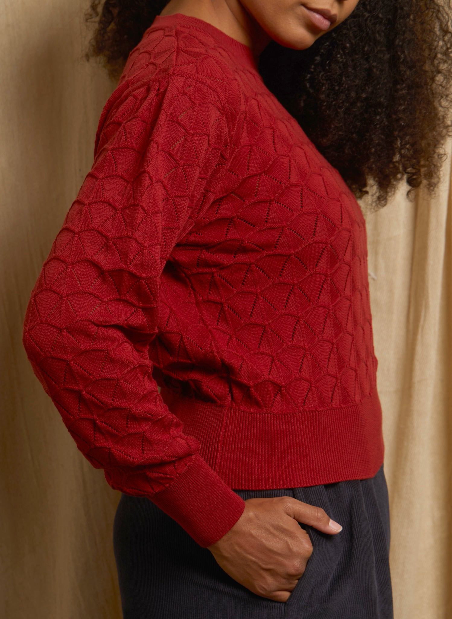 Clara - Rust Pointelle Top