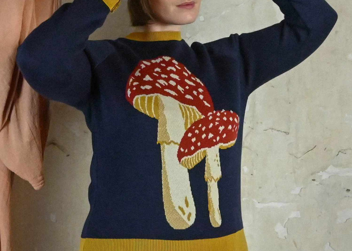 Fred - Navy Mushroom Jumper