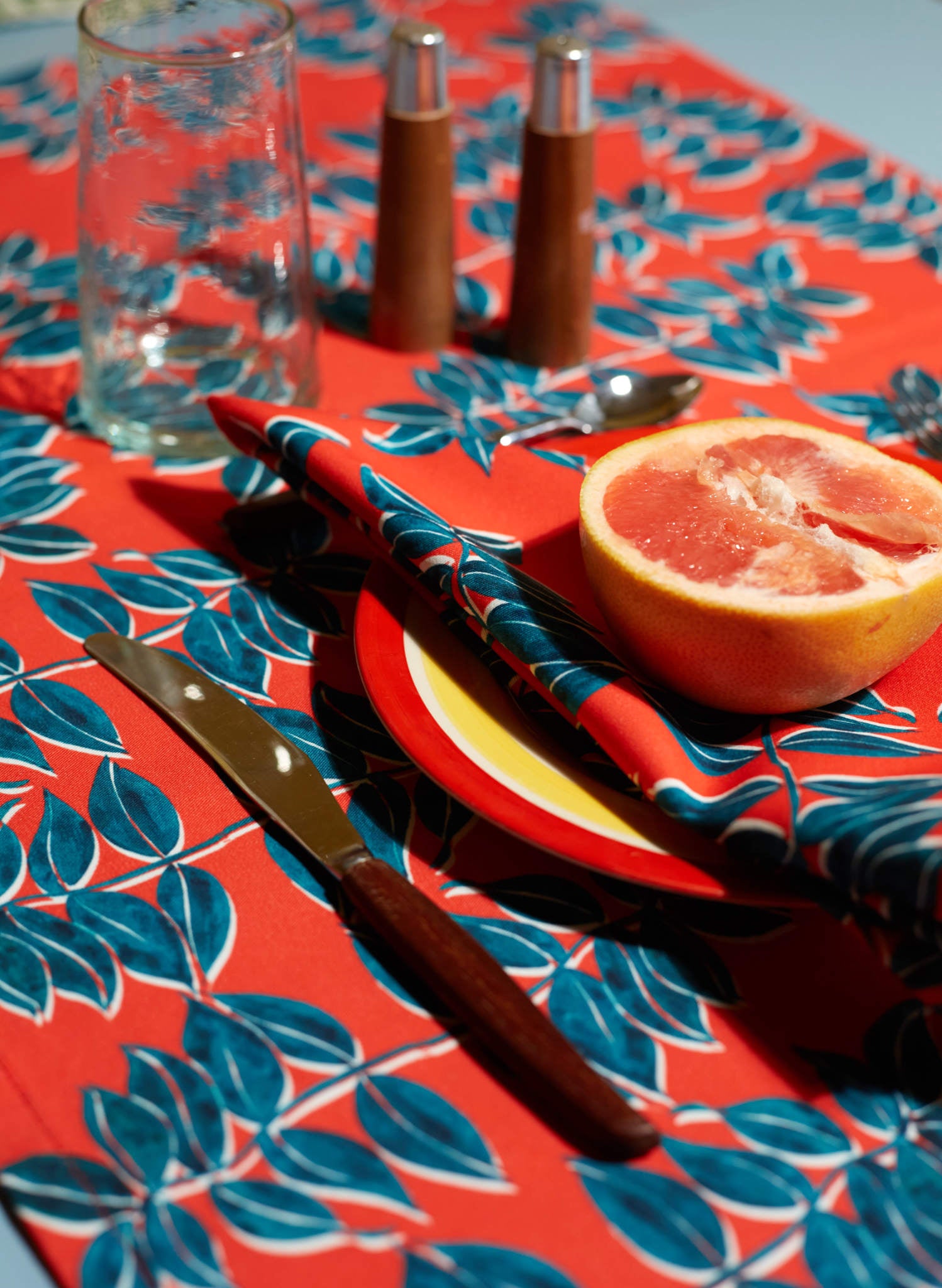 Napkin Set - Zebrina