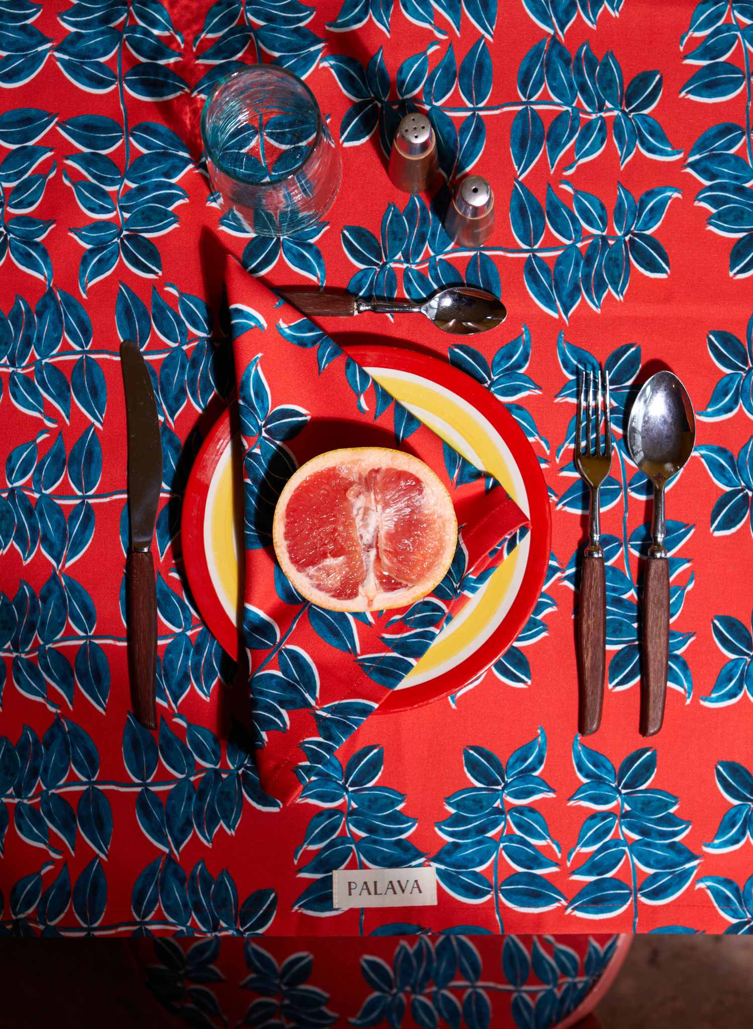 Napkin Set - Zebrina