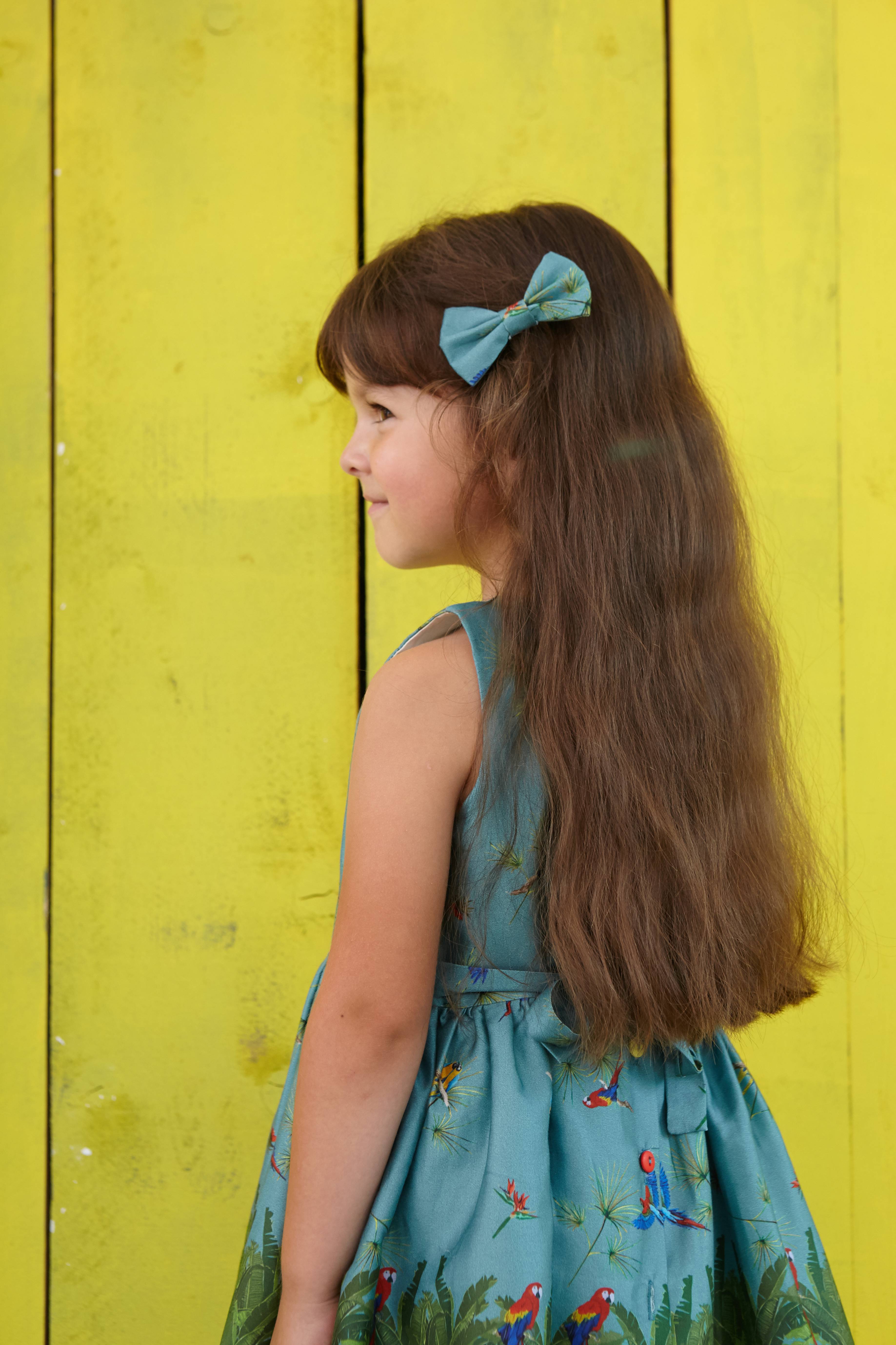 Bow Clips - Summer Prints