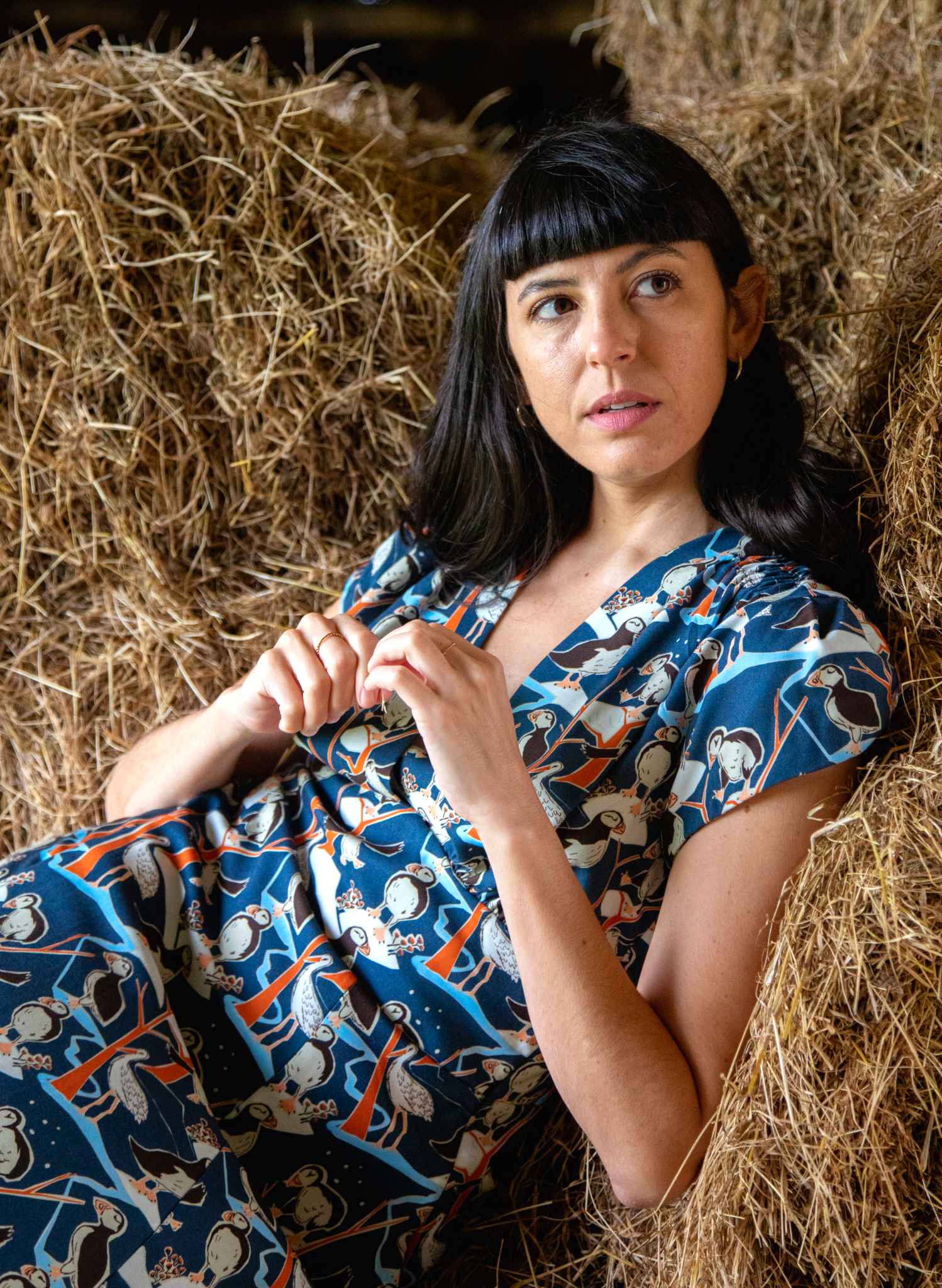 Rita Dress - Blue Puffins