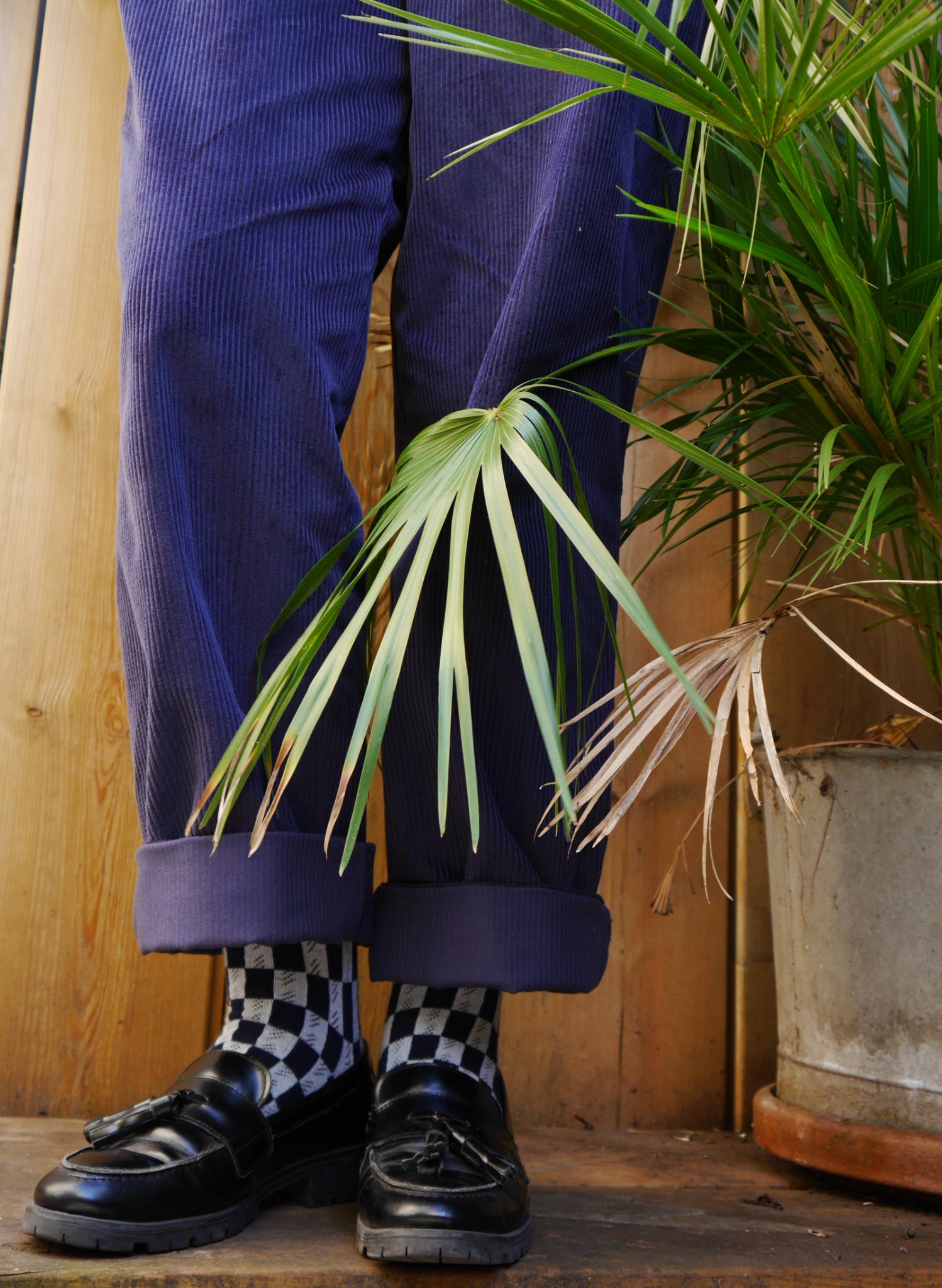 Knee High Socks - Navy Feather