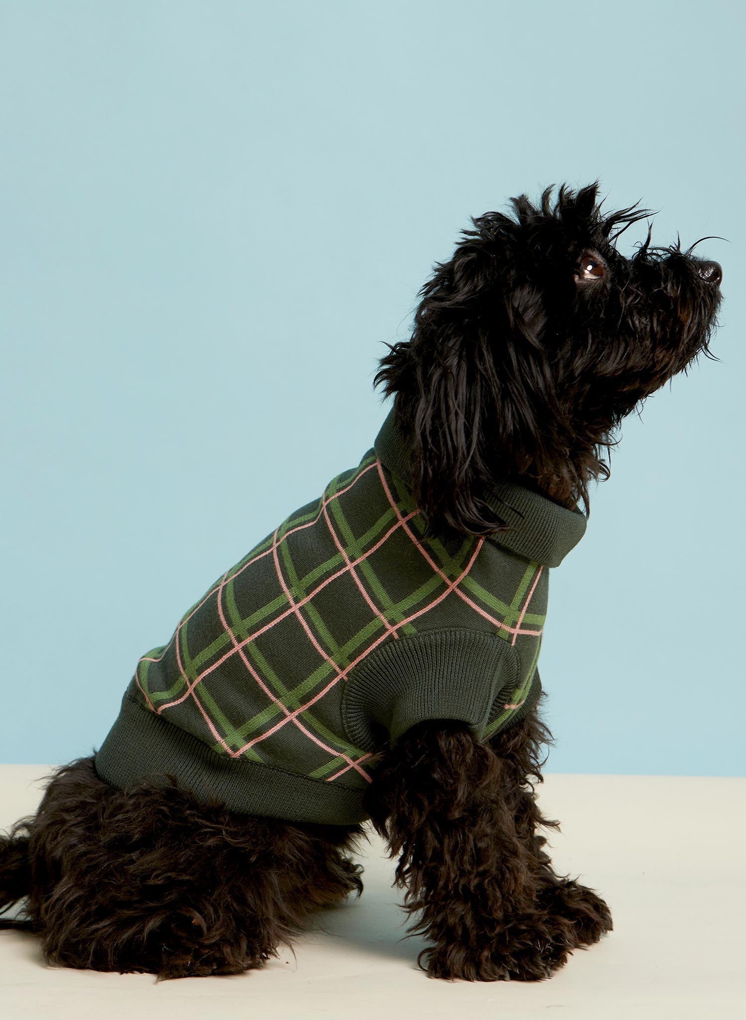 Archive Sale - Size Medium - Knitted Dog Jumper - Navy Harman
