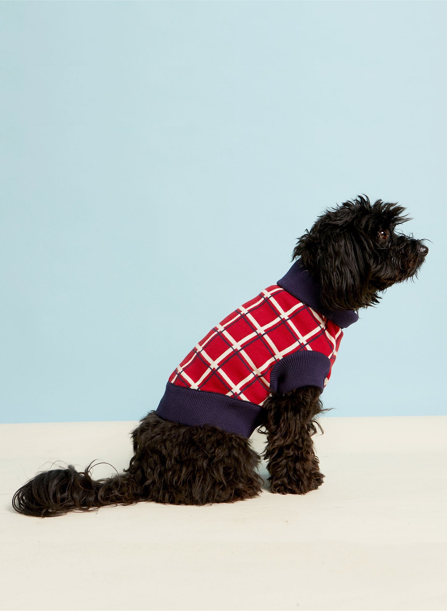 Archive Sale - Size Medium - Rodney Dog Jumper - Red Tuck Shop