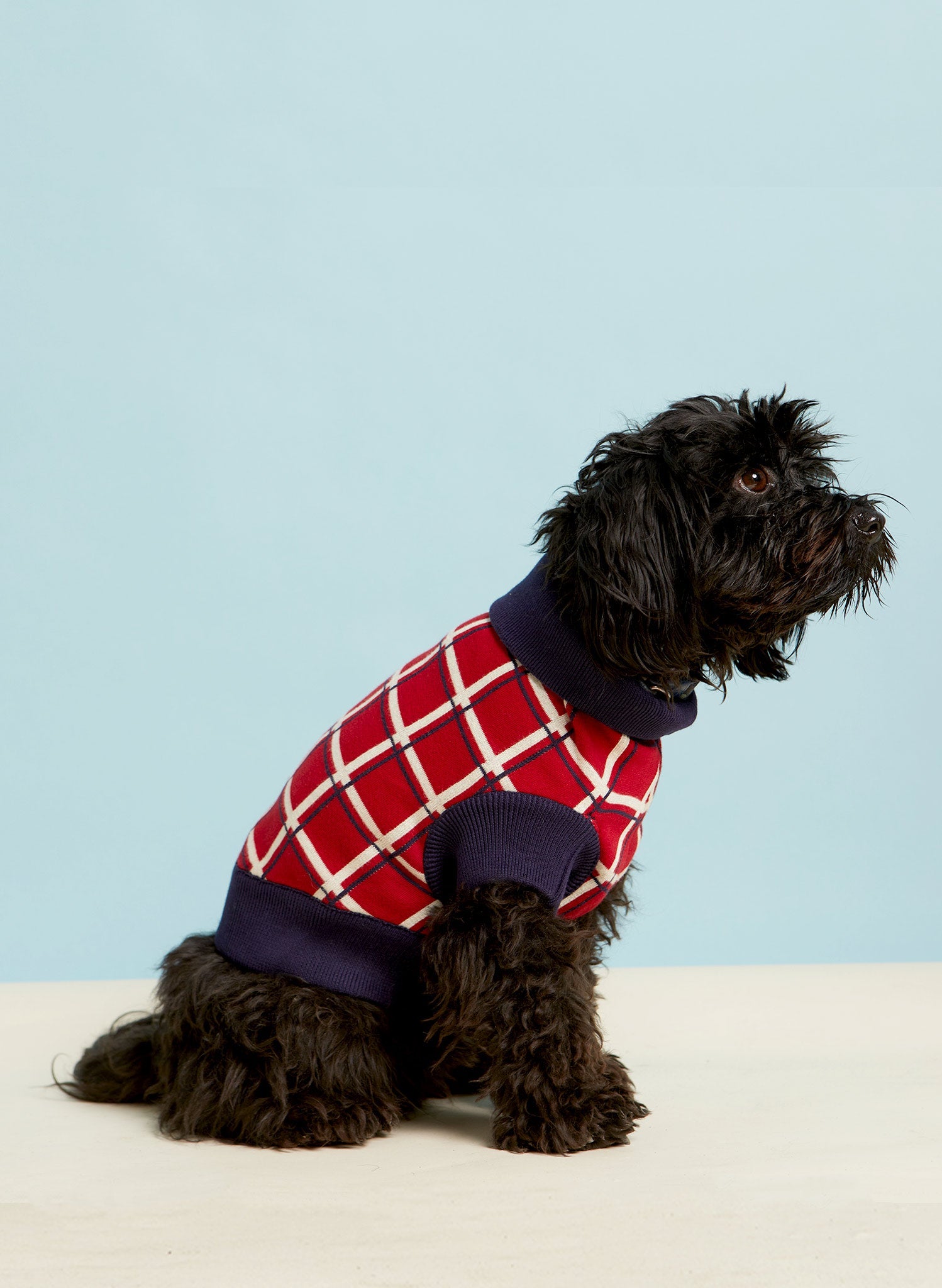 Archive Sale - Size Medium - Rodney Dog Jumper - Red Tuck Shop