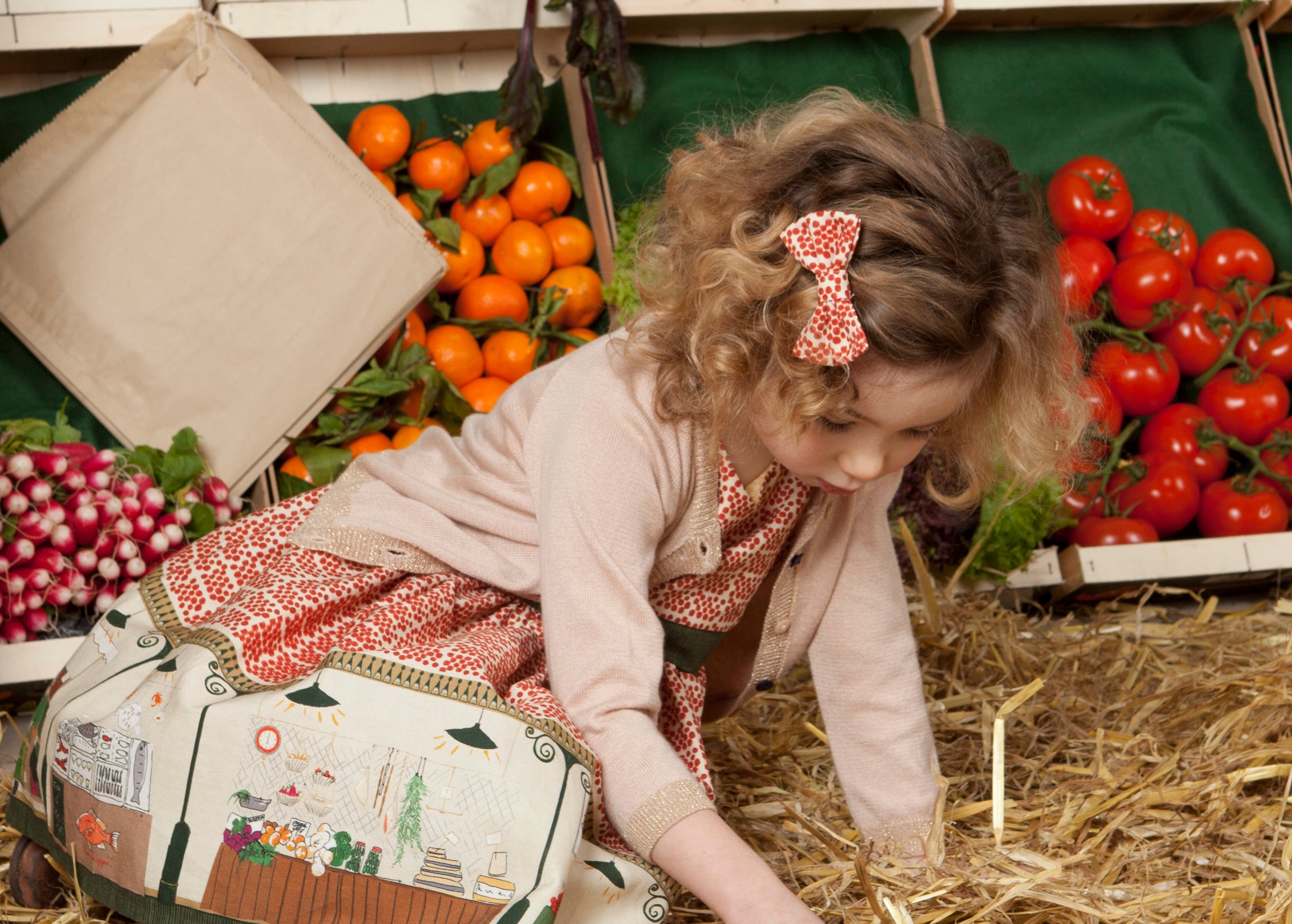 Bow Clips - Autumn Prints