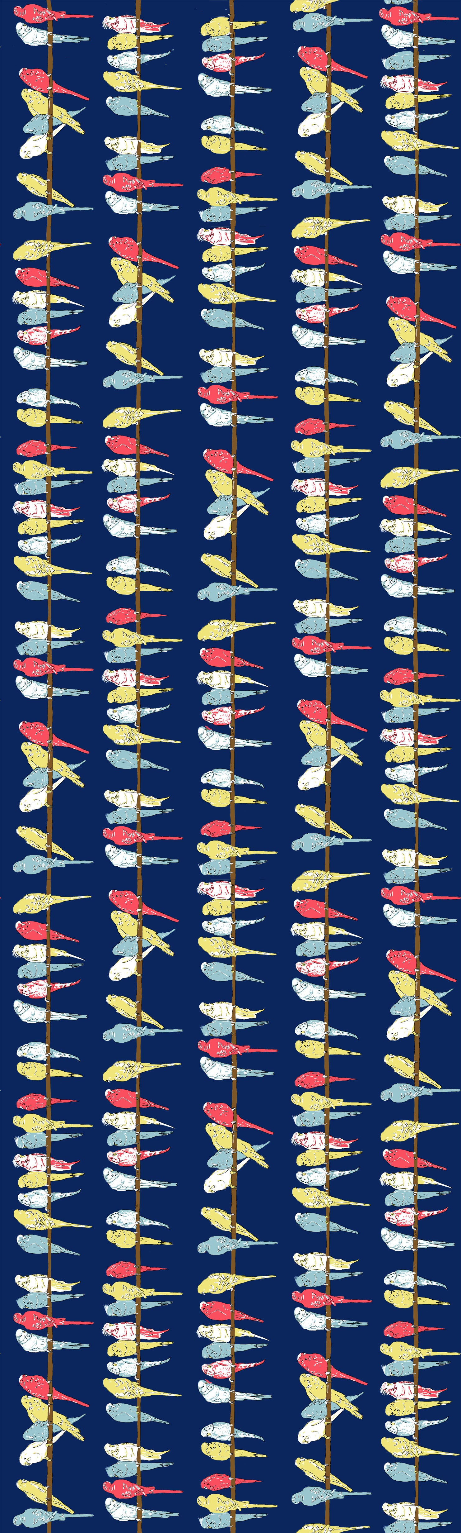 Remnant - 68.5cm x 168cm - Navy Budgies Fabric - Organic Cotton Twill