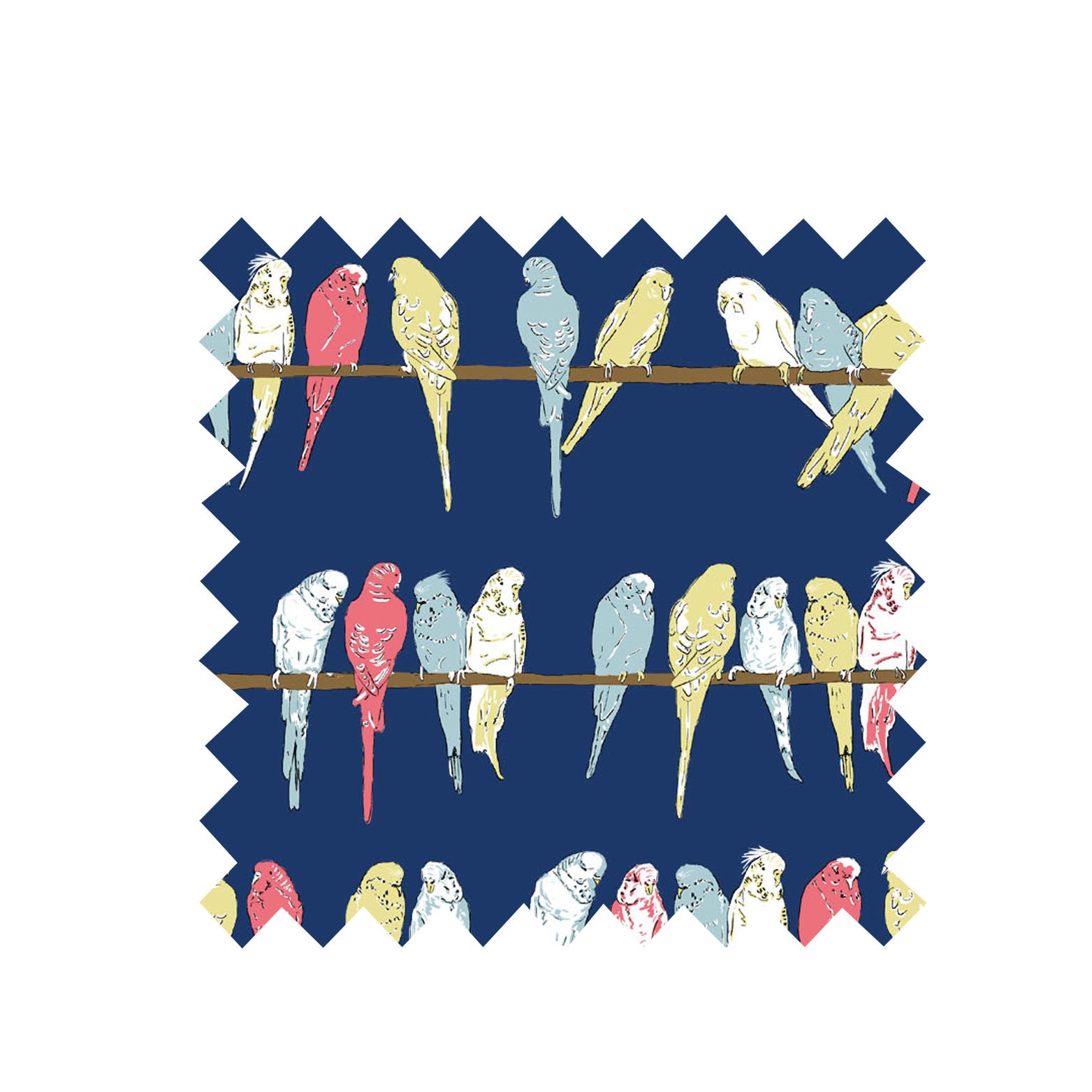 Remnant - 68.5cm x 168cm - Navy Budgies Fabric - Organic Cotton Twill