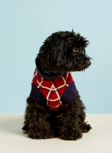 Tartan dog outlet jumper