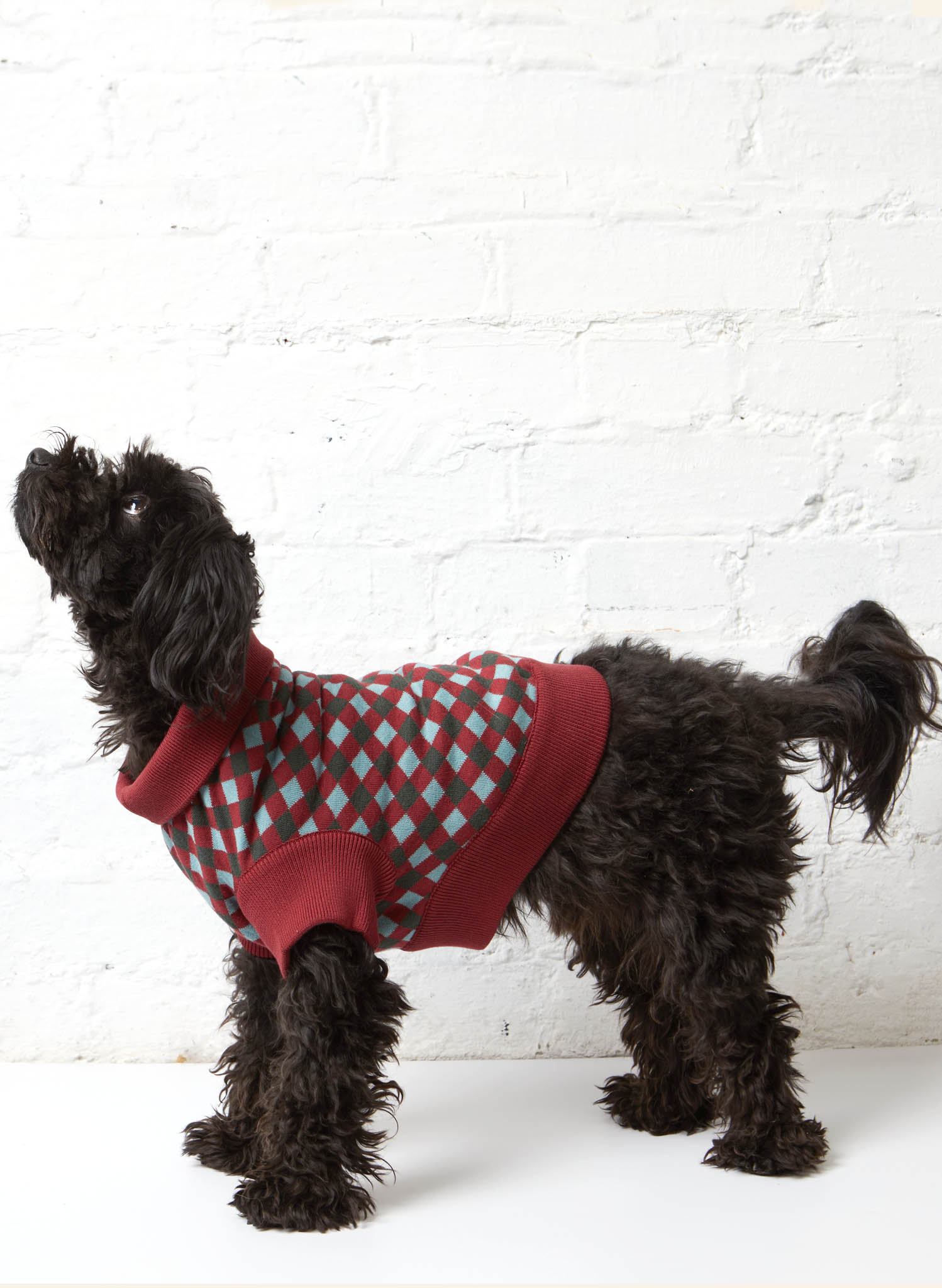 Archive Sale - Rodney Dog Jumper - Size L - Navy