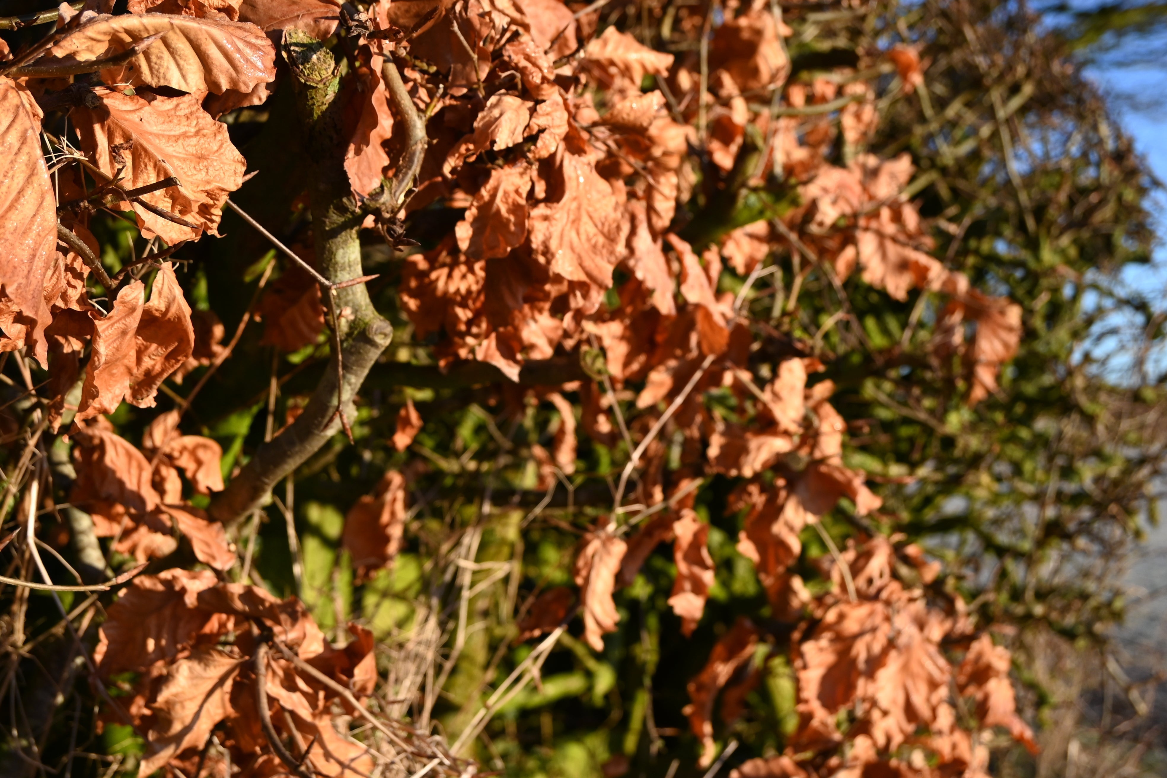 Palava - The Story of AW25