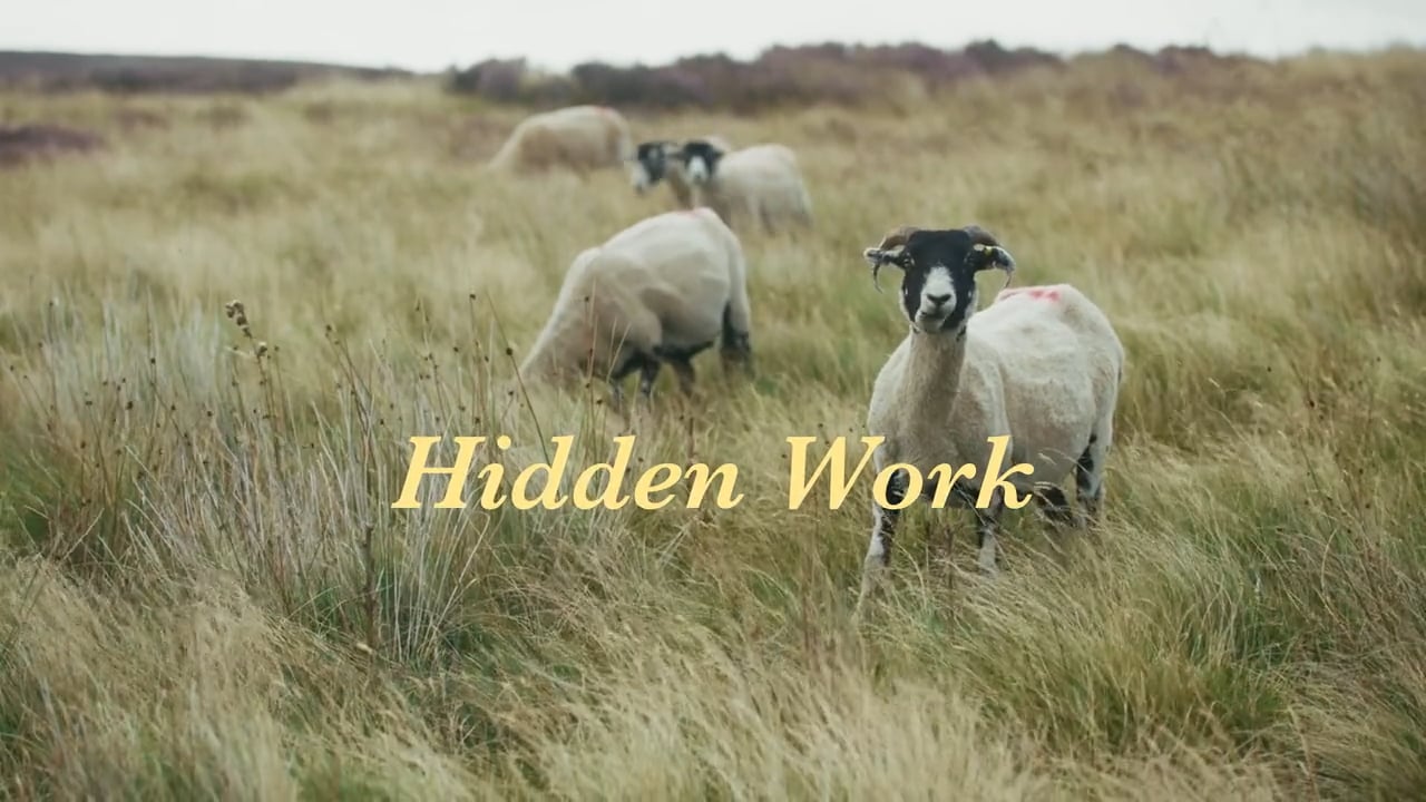 Dispatch no 6 - The Hidden Work of Wool