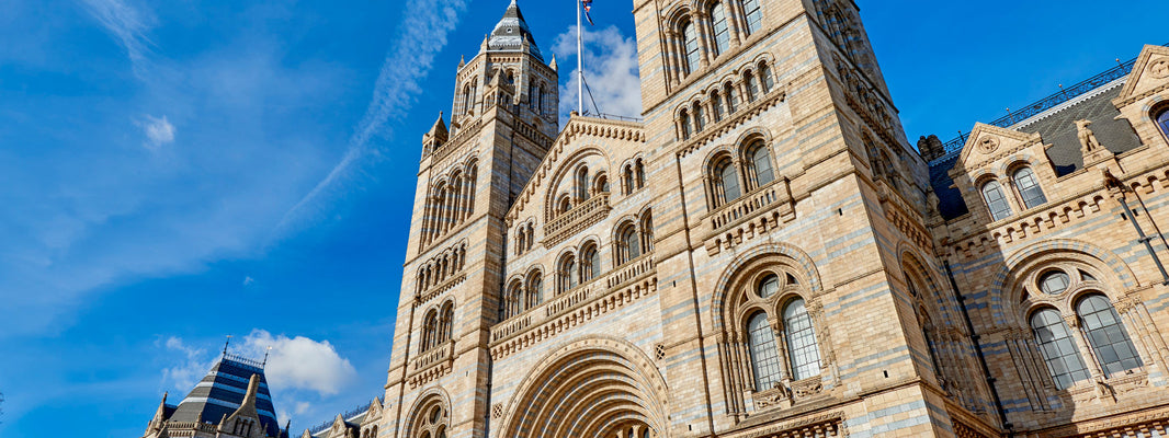 Our Top 5 Things to See at the Natural History Museum in London