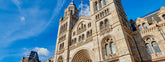 Our Top 5 Things to See at the Natural History Museum in London