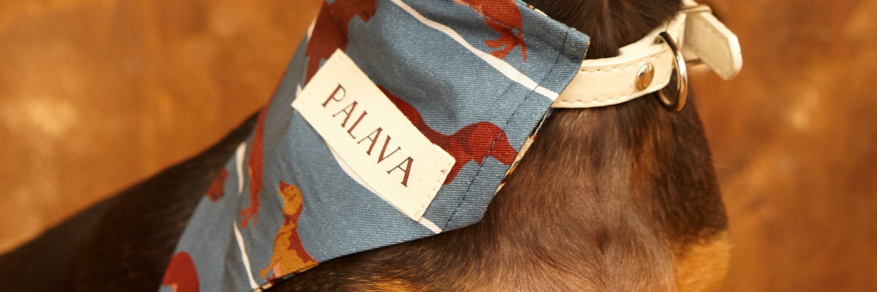 For Four-Legged Friends