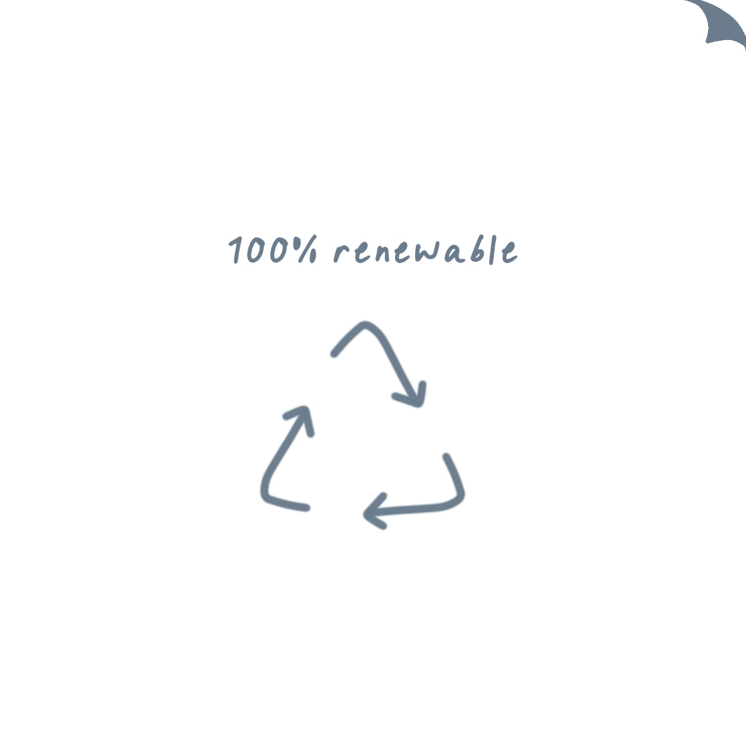 Wool is 100% Renewable