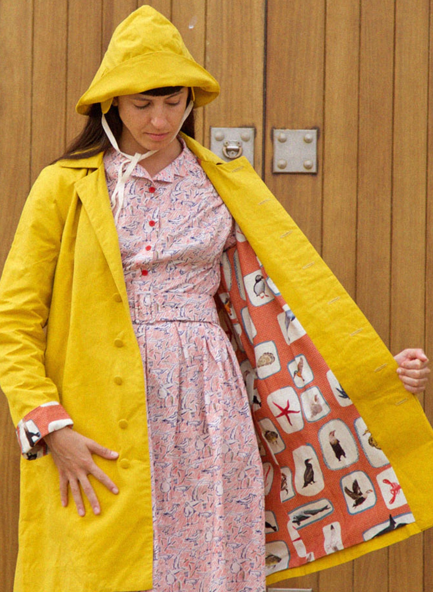 Louise Dress - Chips Away