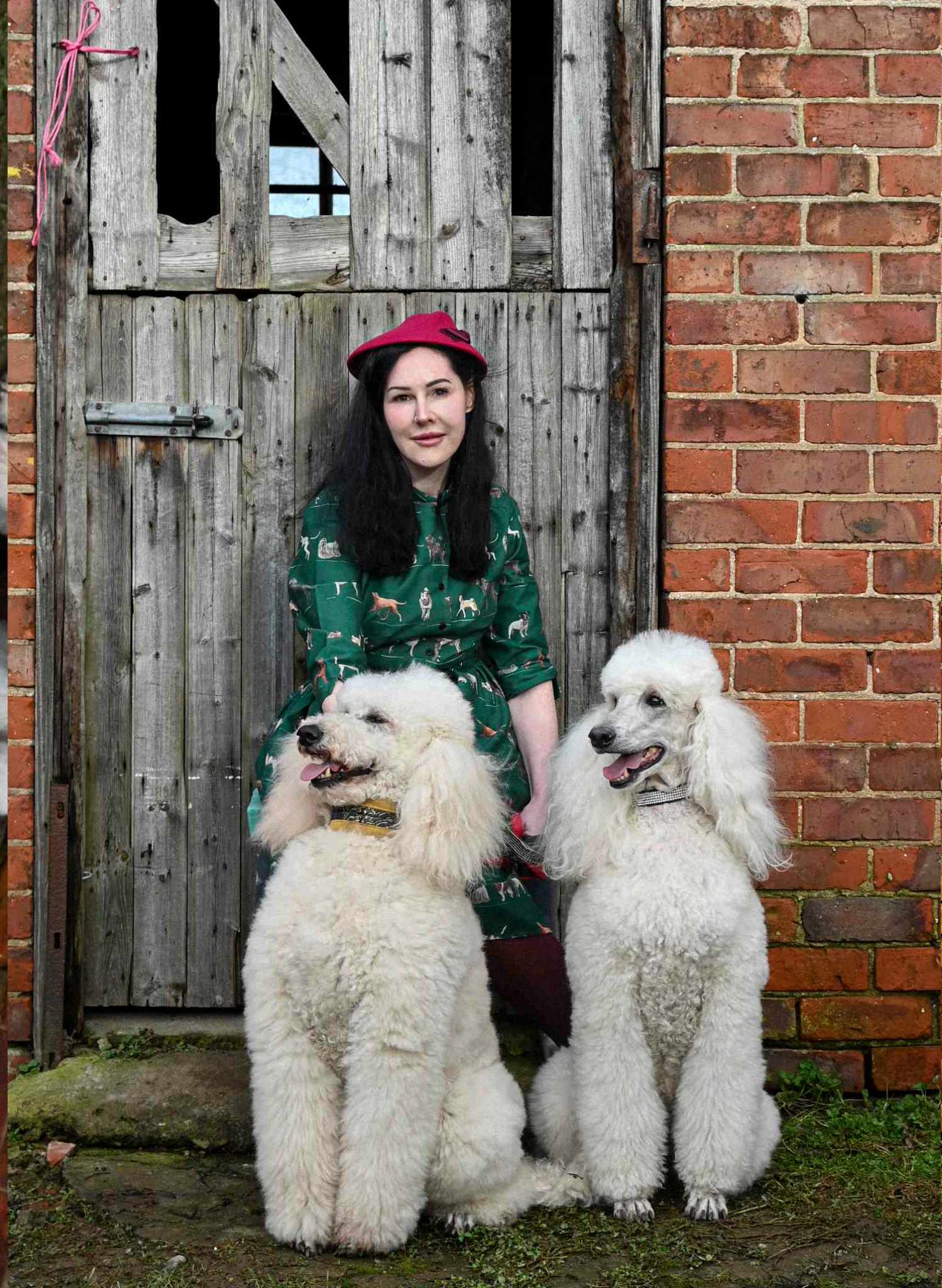 Cynthia Dress - Green Porcelain Dogs