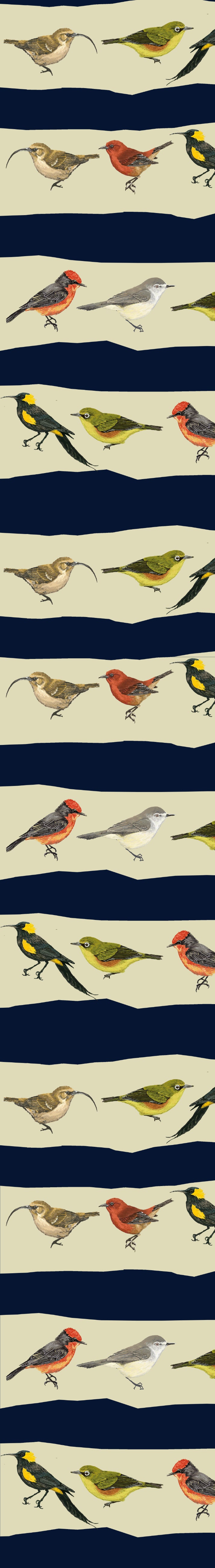 Remnant - 75x106cm - Navy Lost Birds - Twill