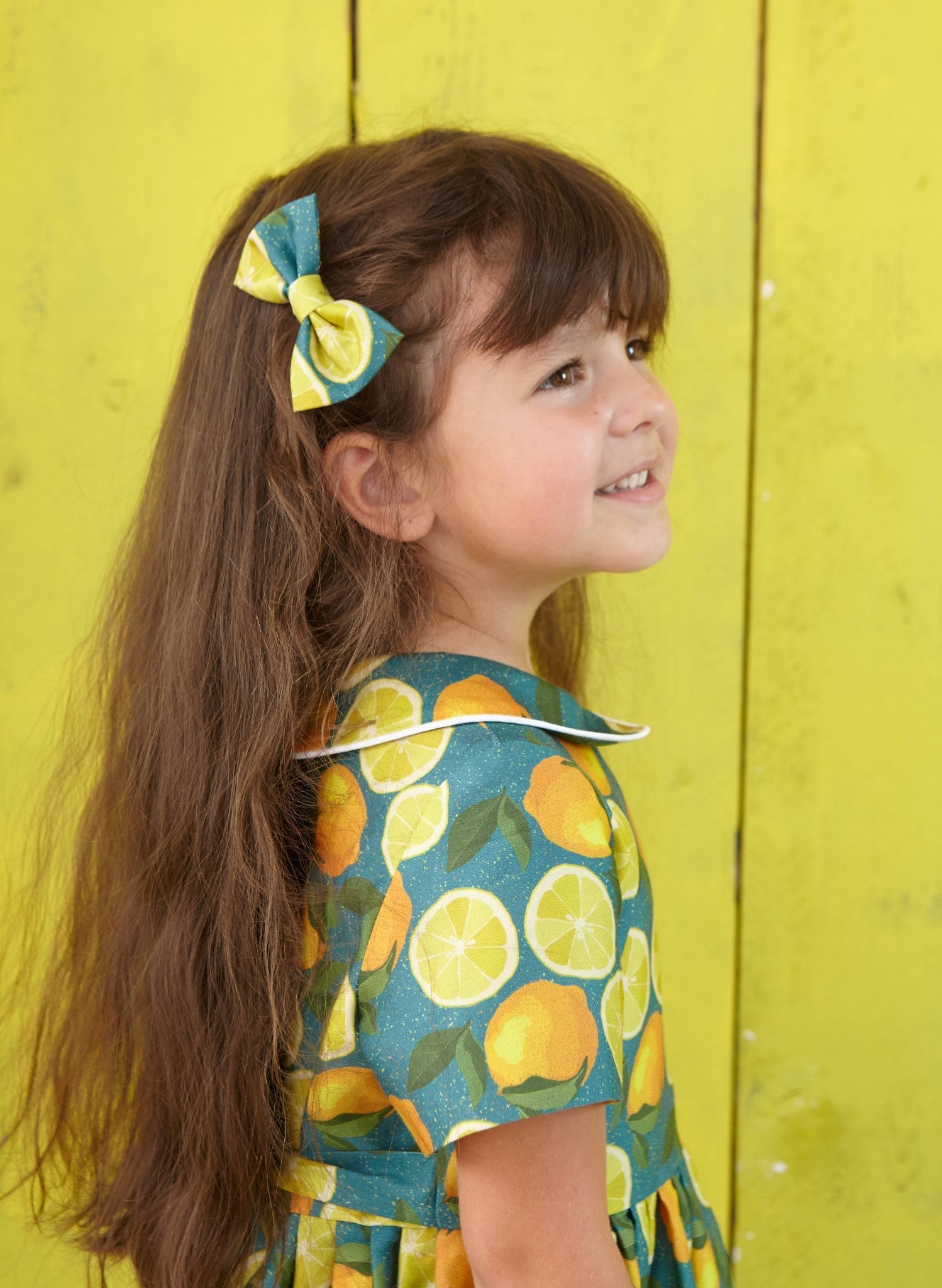 Bow Clips - Summer Prints