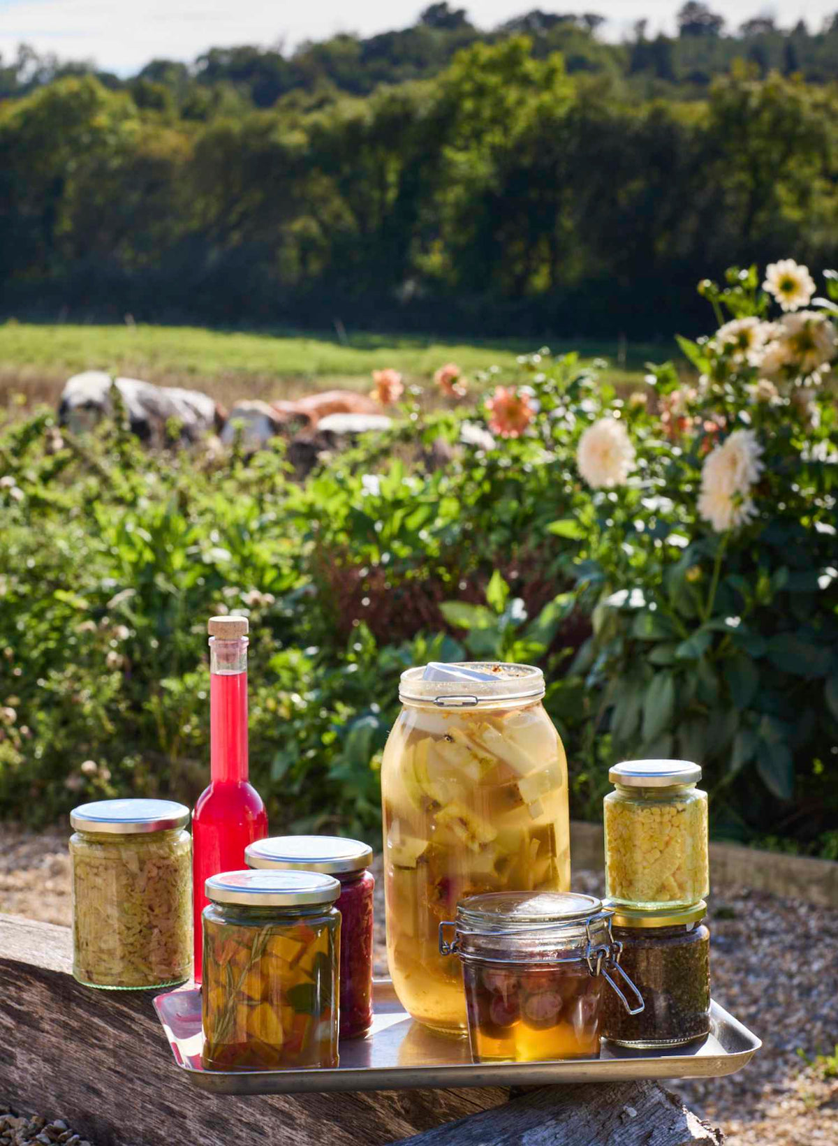Pickling at Palava