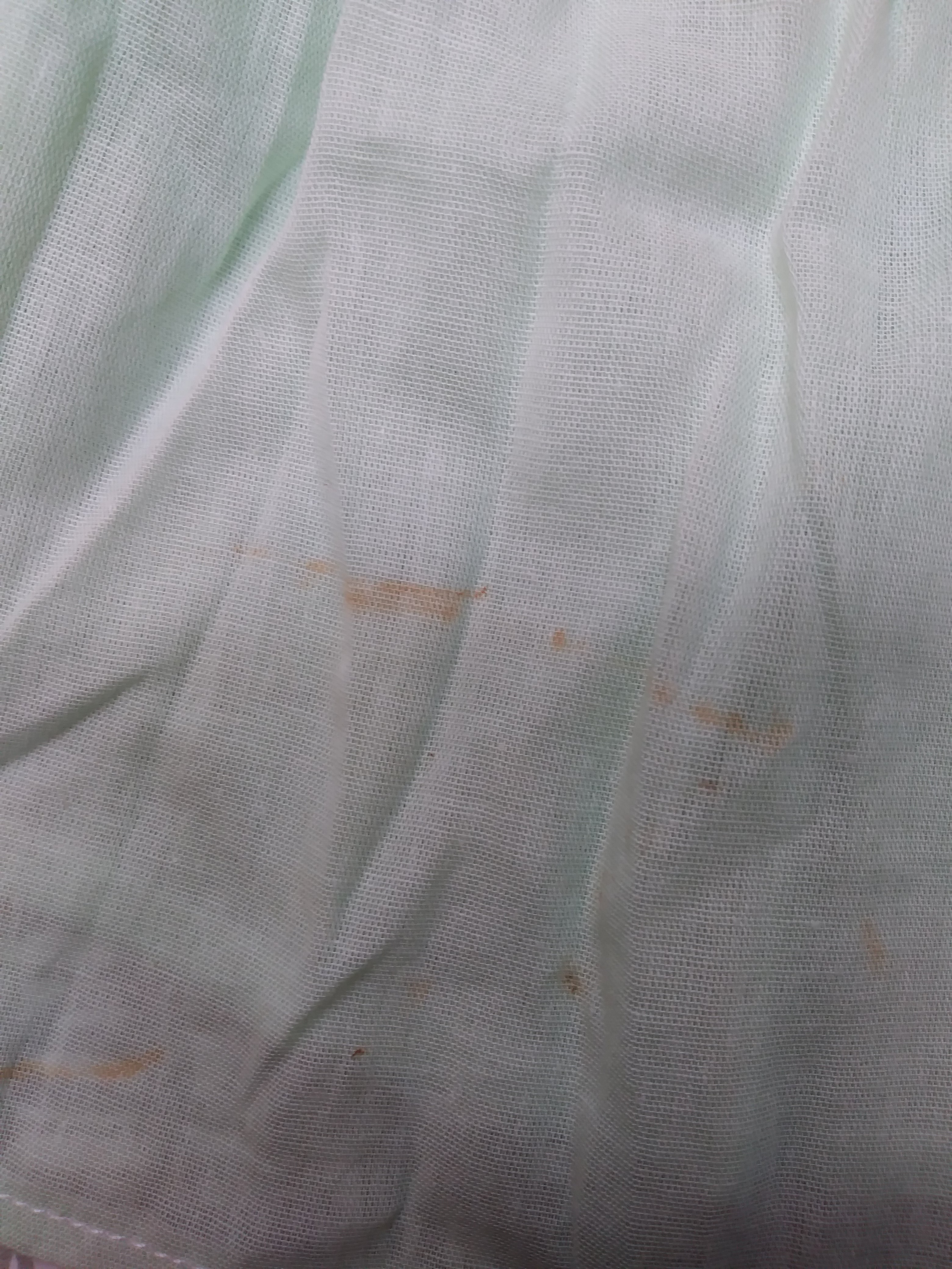 Archive Sale - Age 2-3 - Molly - Green