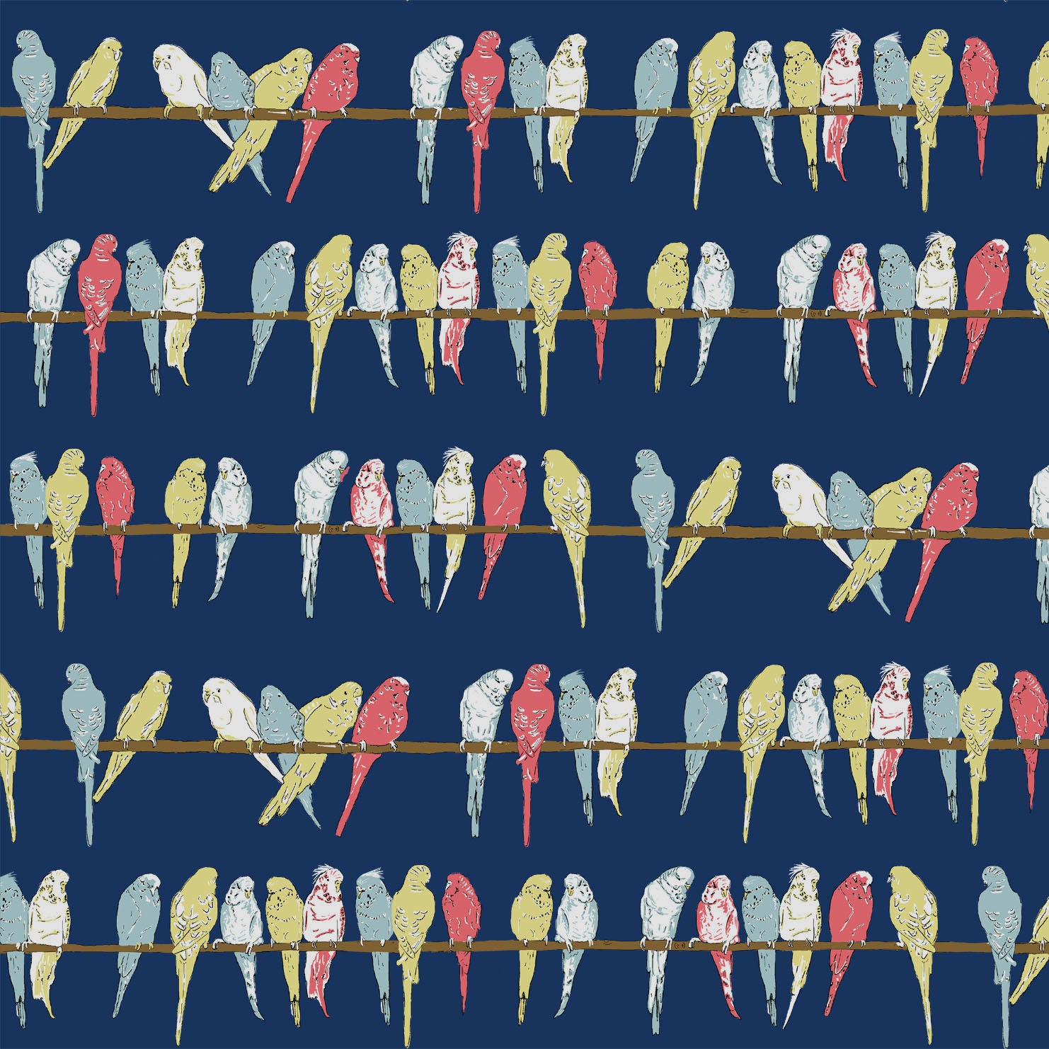 Remnant - 68.5cm x 168cm - Navy Budgies Fabric - Organic Cotton Twill