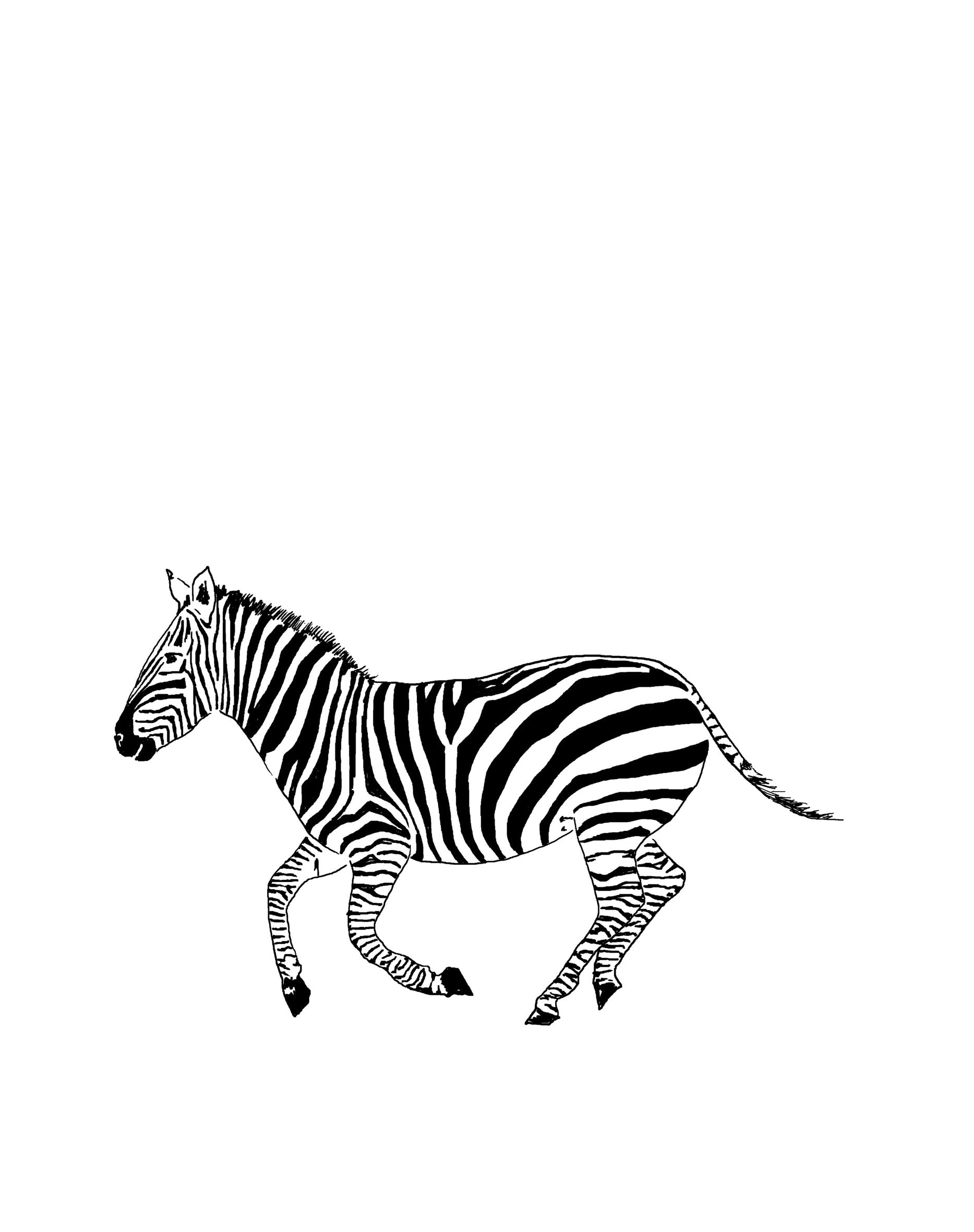 Zebra Wall Sticker - Palava